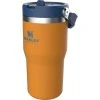 Stanley IceFlow Flip Straw 20oz Tumbler -WetflyAstralStanleyAire Shop SAF